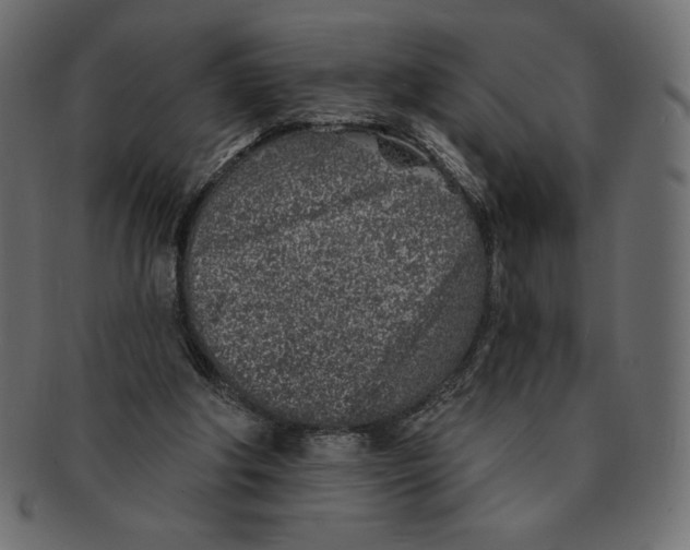 X0000091370202200709071334