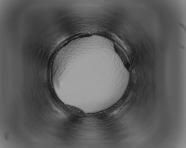 X0000091370203200709071333