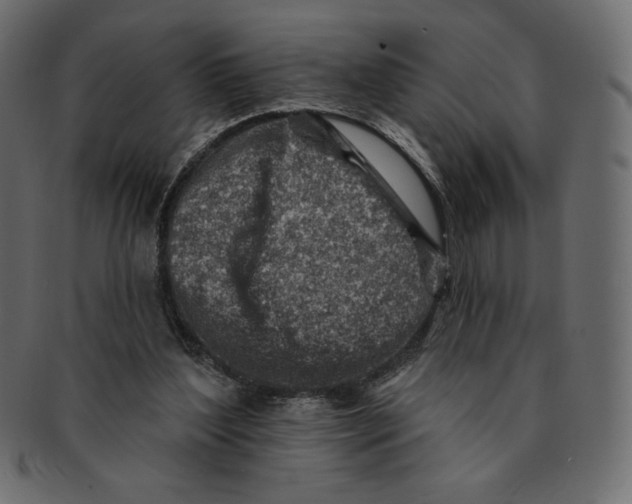 X0000091370204200709071333