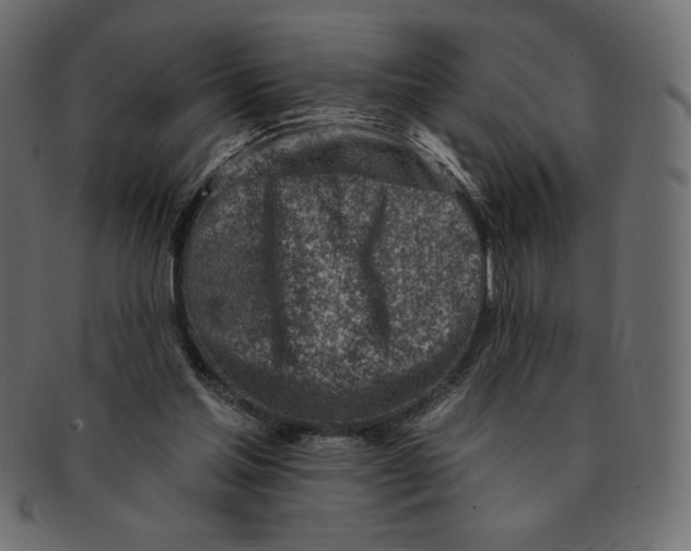 X0000091370205200709071333