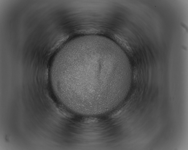 X0000091370206200709071333