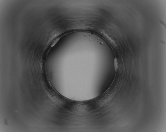 X0000091370207200709071333