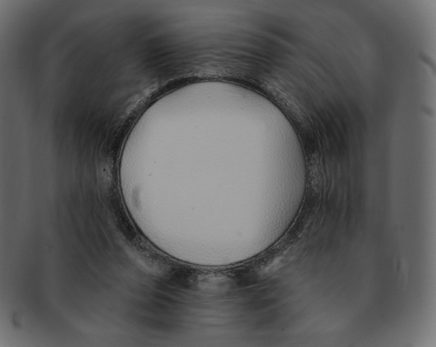 X0000091370208200709071333