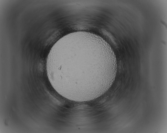 X0000091370210200709071333