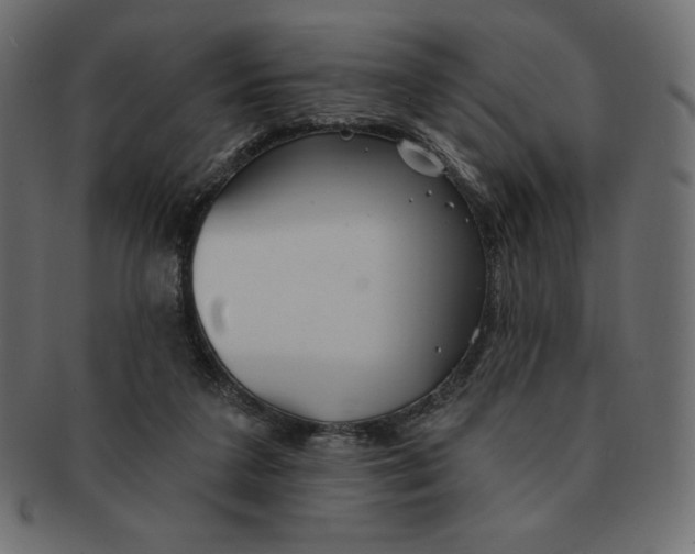 X0000091370211200709071333