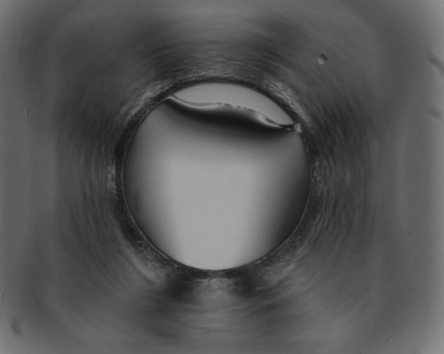 X0000091370212200709071333