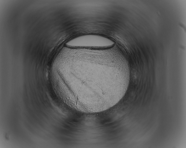 X0000091370214200709071333