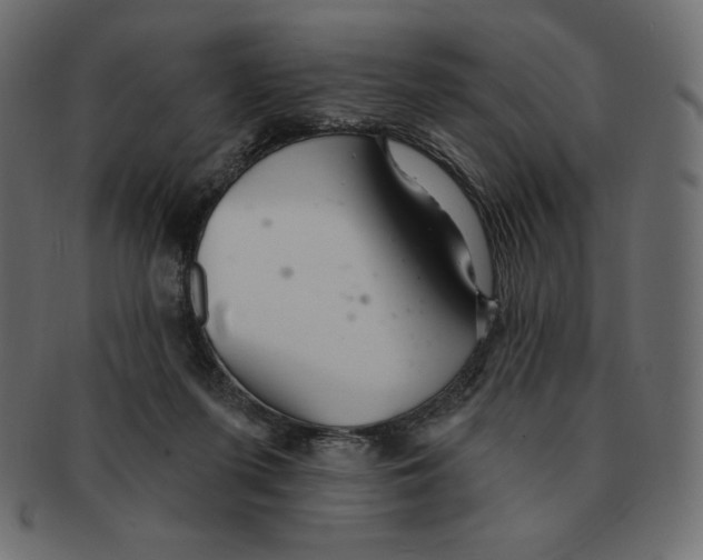 X0000091370215200709071333