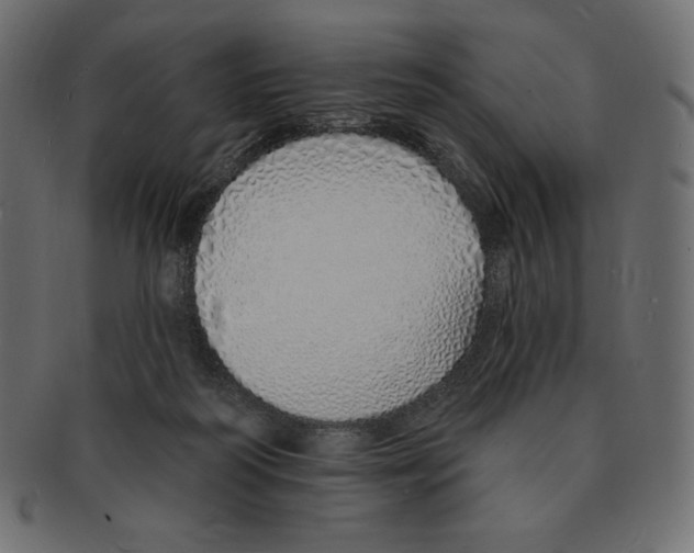 X0000091370218200709071333