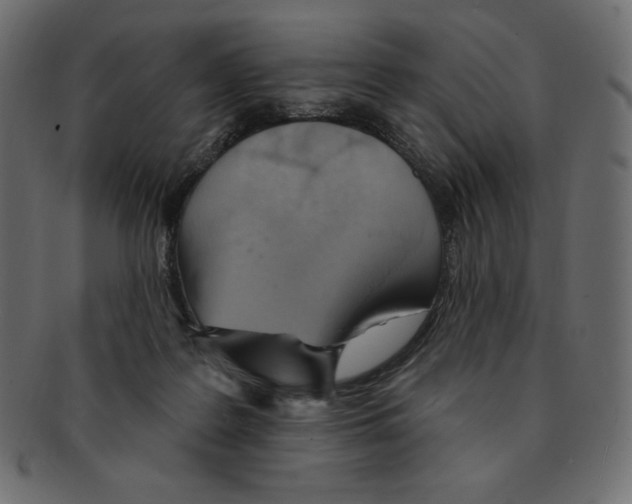 X0000091370219200709071333