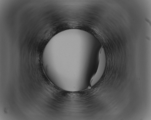 X0000091370221200709071333