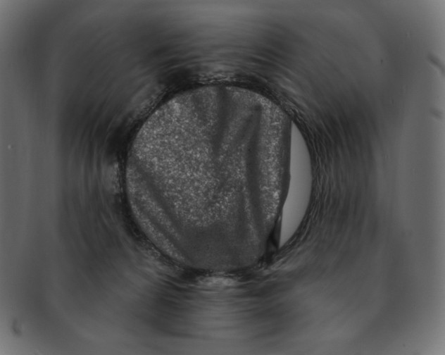 X0000091370224200709071333