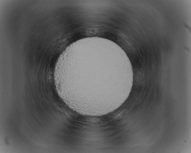 X0000091370226200709071333