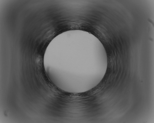 X0000091370228200709071333