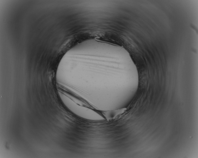 X0000091370229200709071333