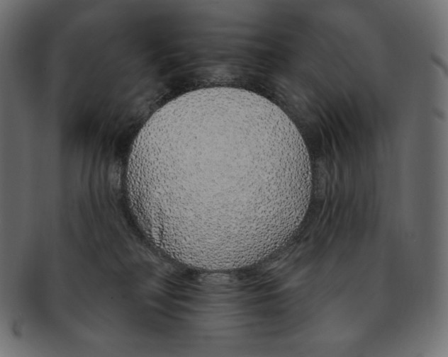 X0000091370230200709071333