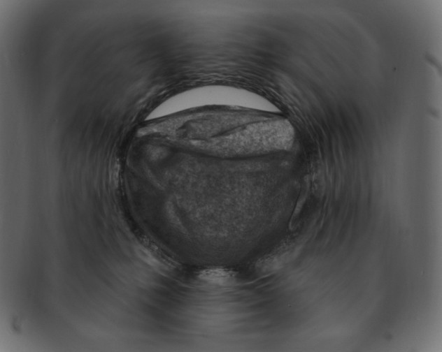 X0000091370231200709071333