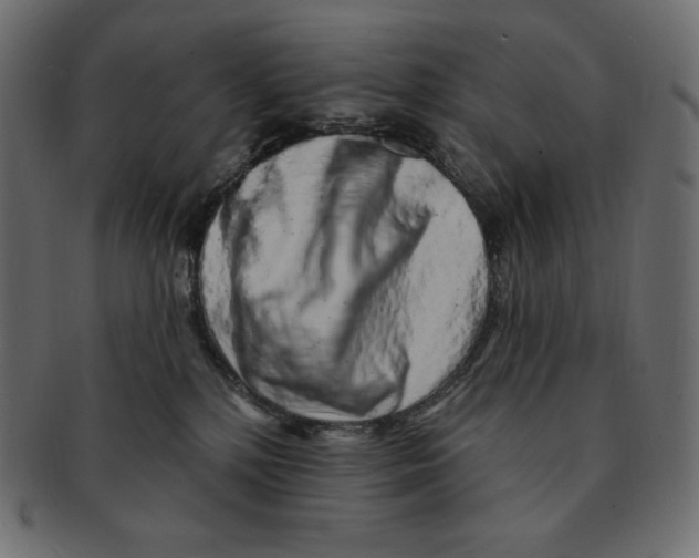 X0000091370232200709071333