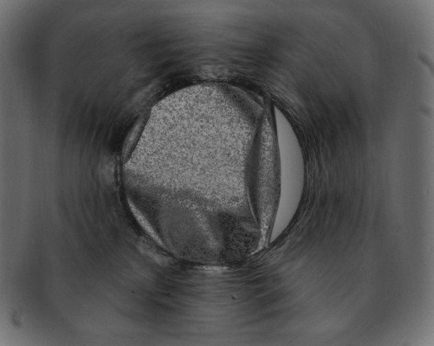 X0000091370233200709071333