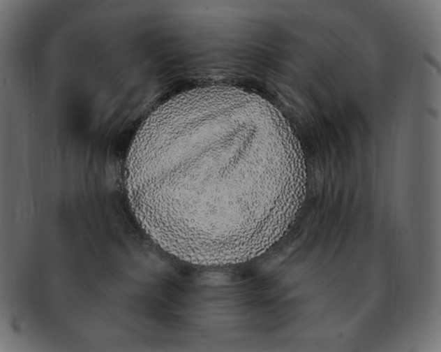 X0000091370236200709071333