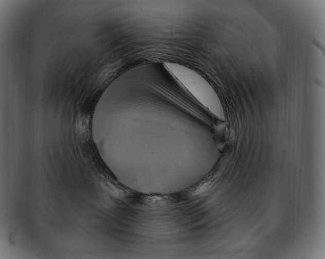 X0000091370239200709071333