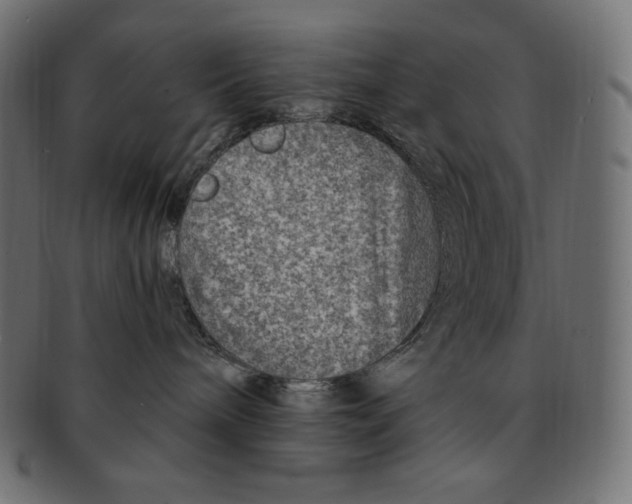 X0000091370240200709071333