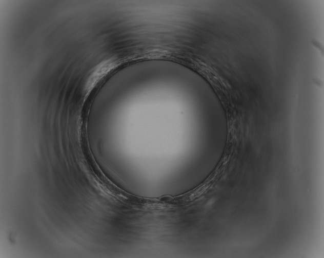 X0000091370242200709071332