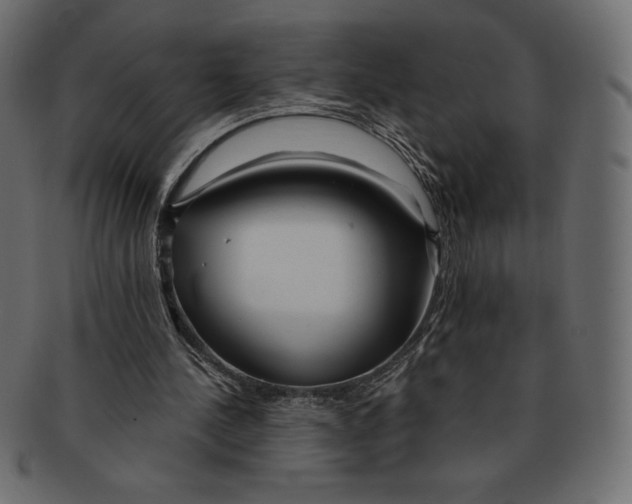 X0000091370244200709071332