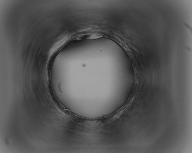 X0000091370245200709071332