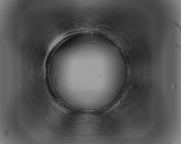 X0000091370246200709071332