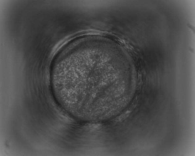 X0000091370247200709071332