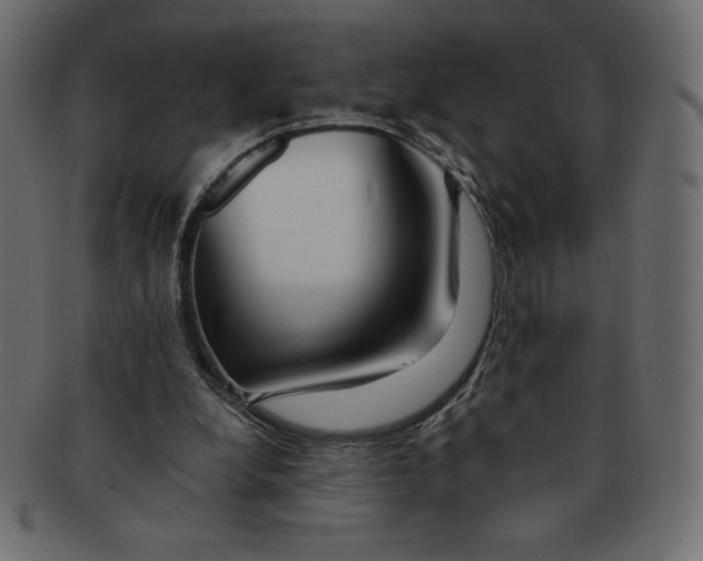 X0000091370248200709071332