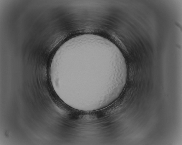 X0000091370251200709071332