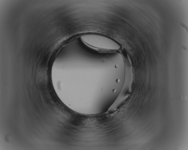 X0000091370252200709071332