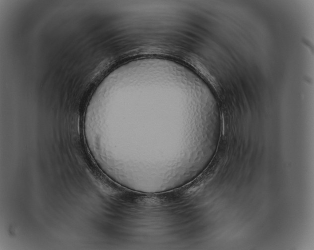 X0000091370253200709071332