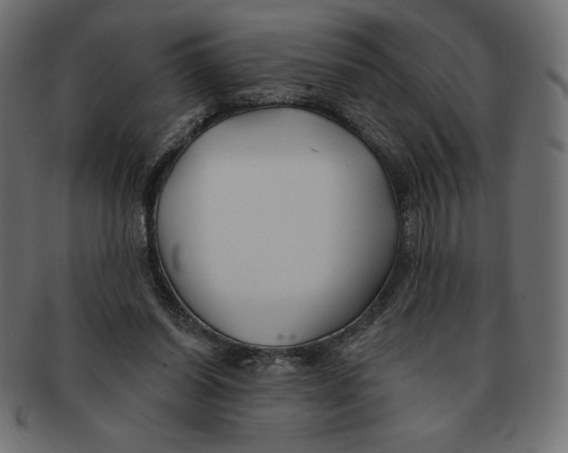 X0000091370254200709071333