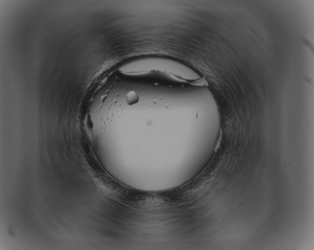 X0000091370256200709071333