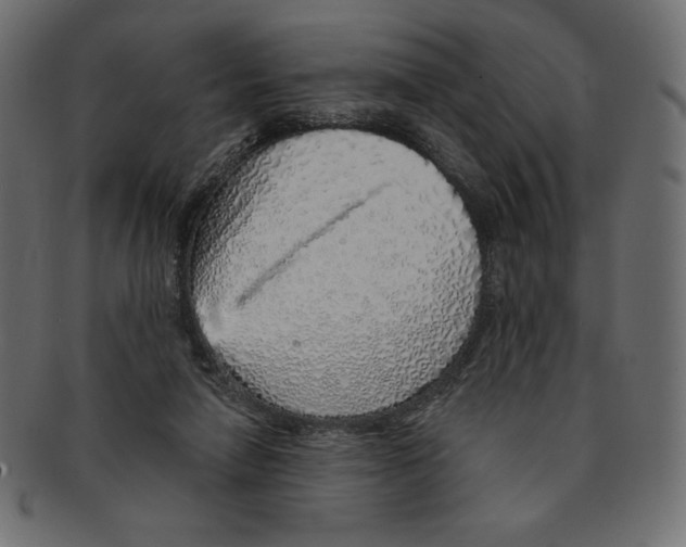 X0000091370258200709071333