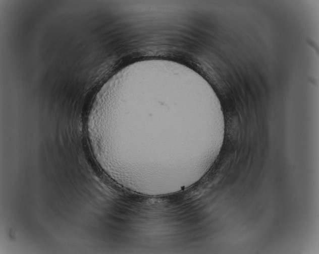 X0000091370261200709071333