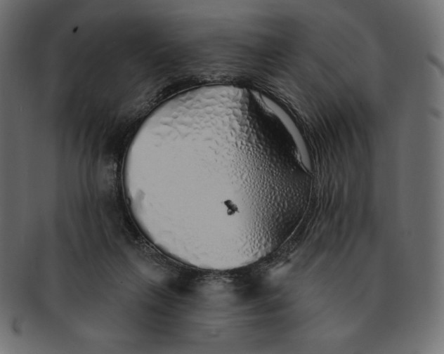 X0000091370263200709071333