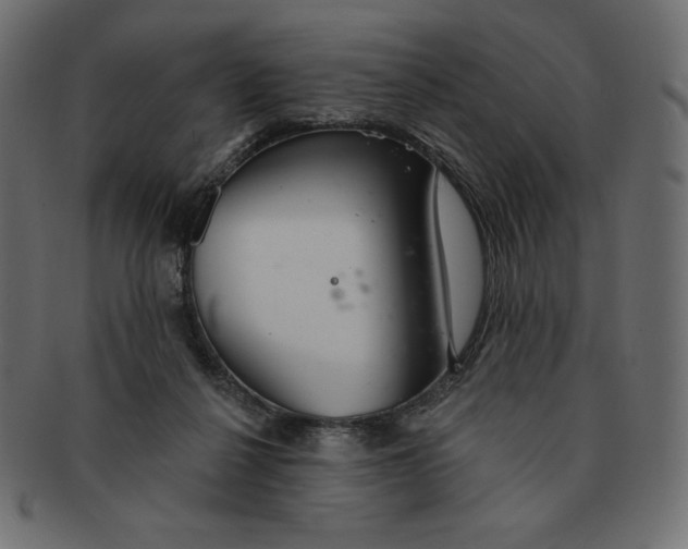 X0000091370264200709071333