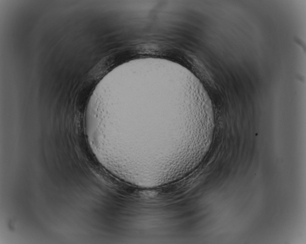 X0000091370265200709071333