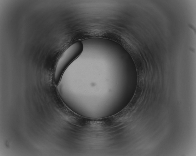 X0000091370268200709071333