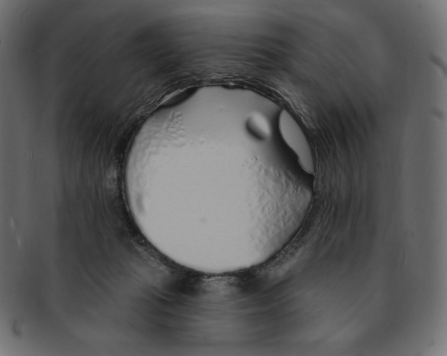 X0000091370269200709071333