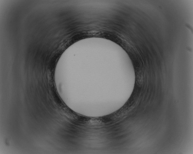 X0000091370270200709071333