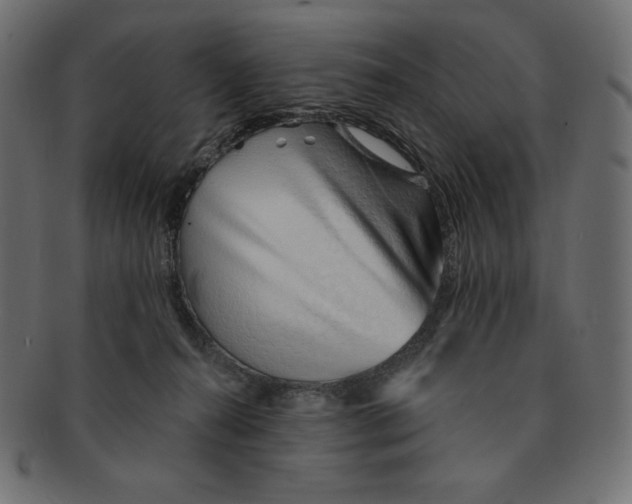 X0000091370272200709071333