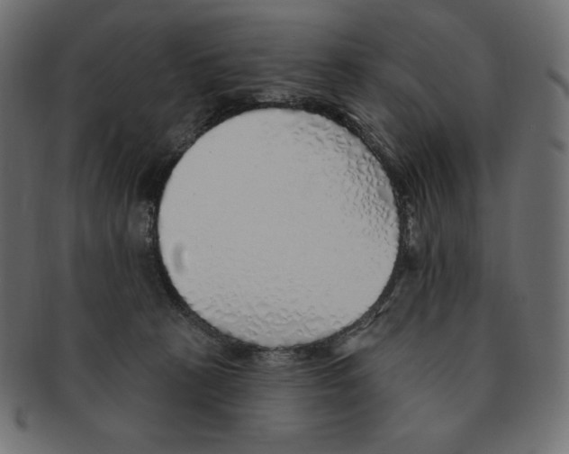 X0000091370273200709071333