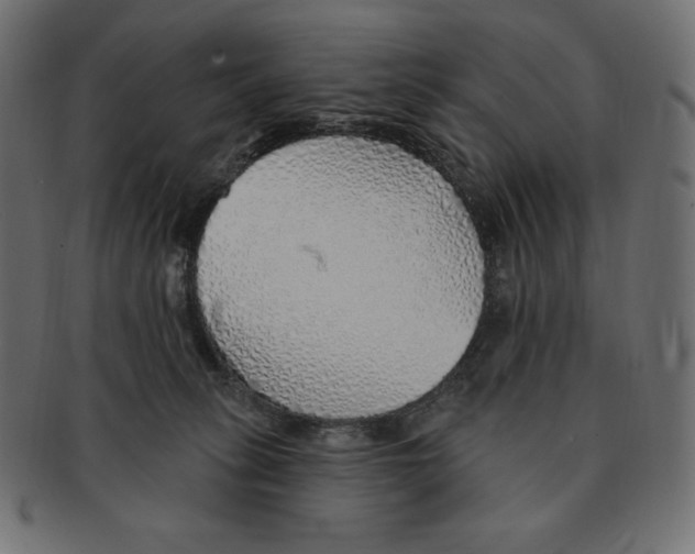 X0000091370275200709071333