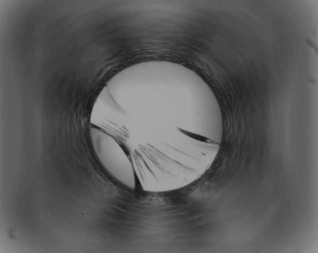 X0000091370276200709071333