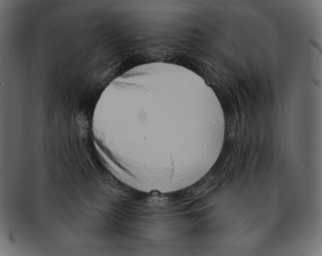 X0000091370279200709071333